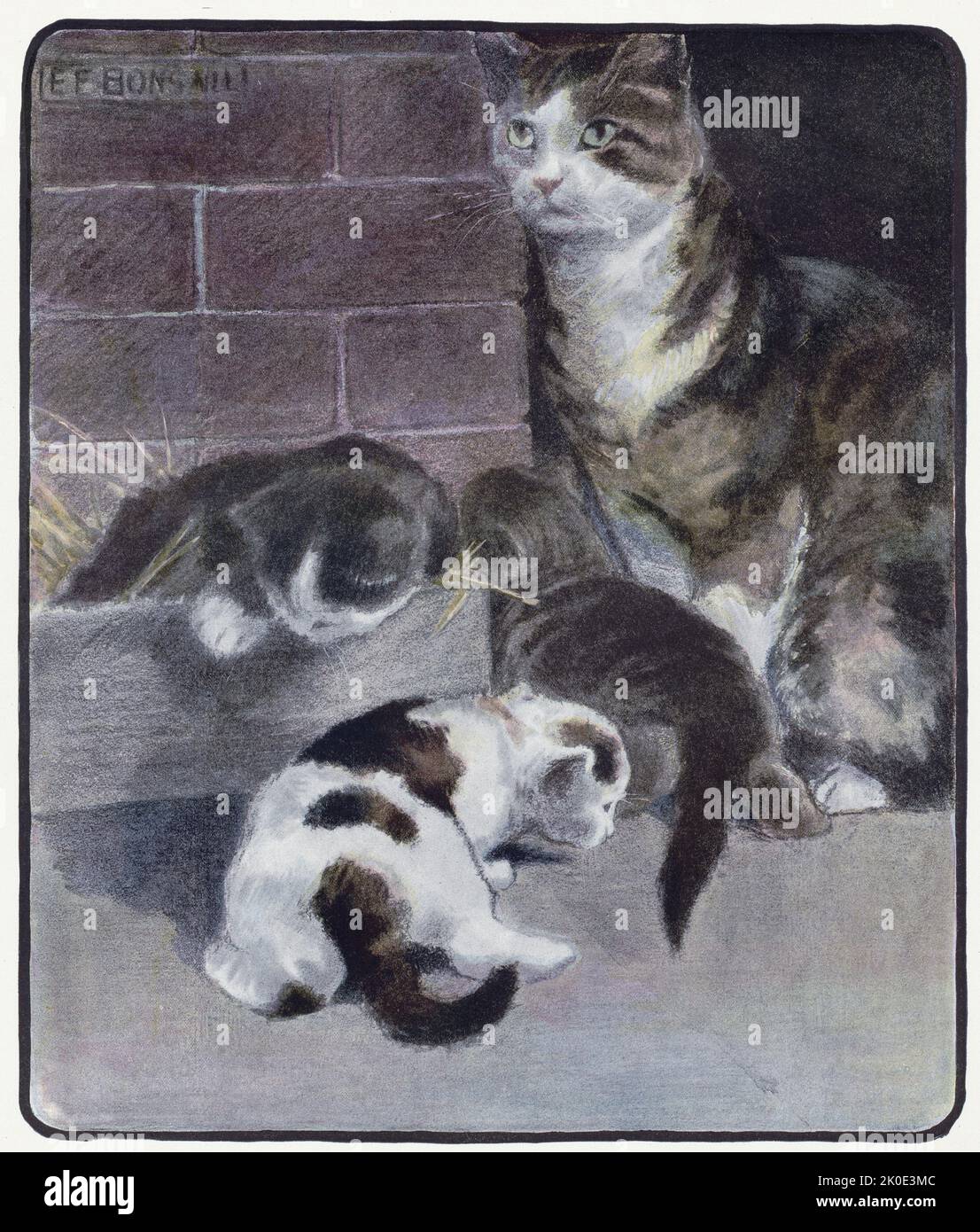 Das Buch der Katze mit Faksimiles von Zeichnungen in Farbe. Von Elisabeth Fearne Bonsall (12. September 1861 - 25. September 1956) war eine amerikanische Malerin und Illustratorin. Stockfoto