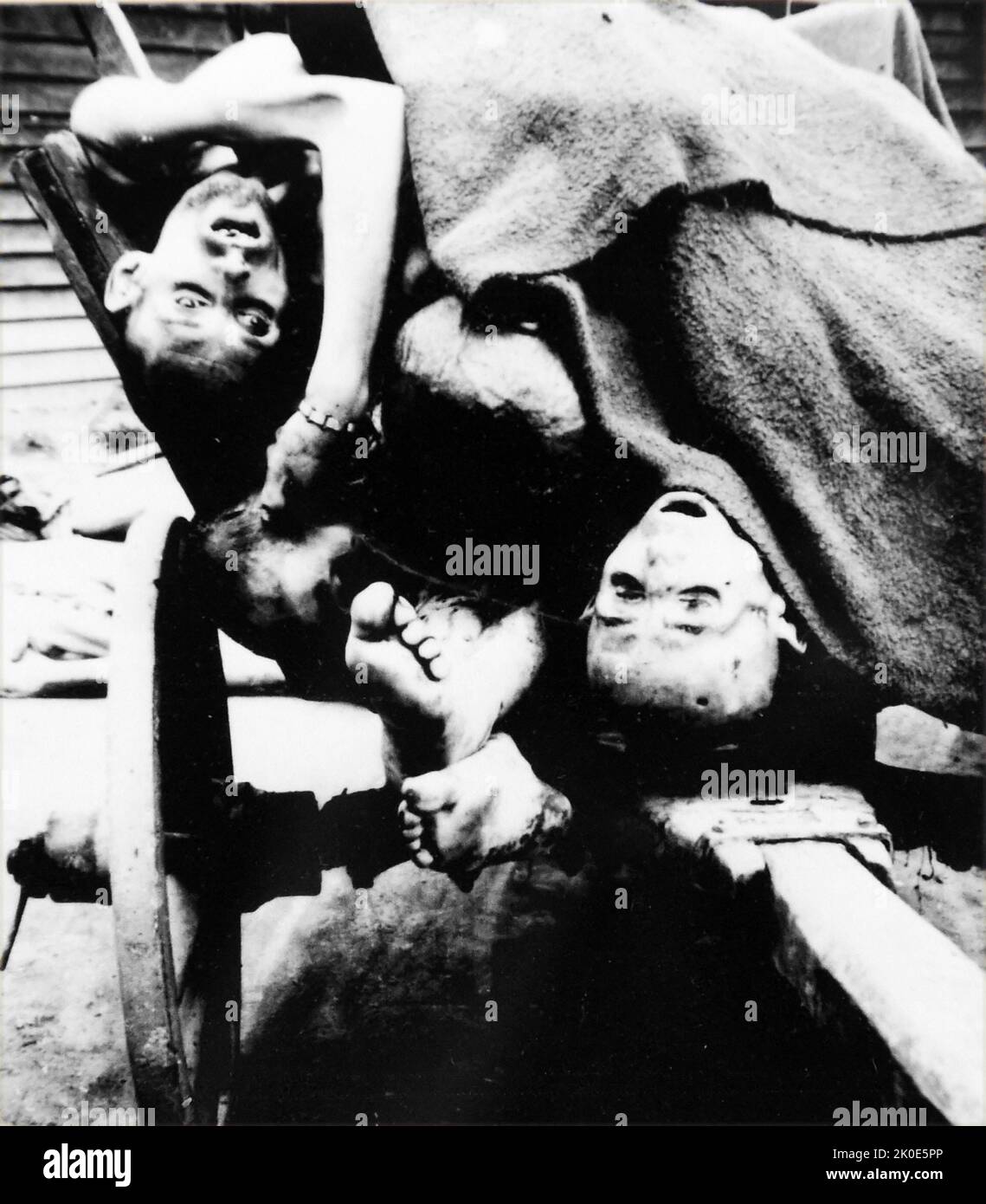 Hungeropfer in Gusen ein von der SS in Oberösterreich betriebenes Unterlager des Konzentrationslagers Mauthausen. In erster Linie von polnischen Gefangenen bevölkert, gab es auch eine große Anzahl spanischer Republikaner, sowjetischer Bürger und Italiener. Der Zweck des Lagers der Vernichtung durch die Arbeit an echten und wahrgenommenen Feinden Nazi-Deutschlands. Stockfoto