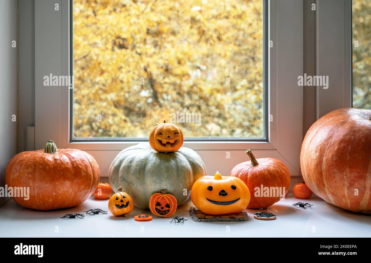 Halloween Kürbisse am Fenster zu Hause. Gemüseset, Orangenfutter, Süßigkeiten und Dekorationen auf weißem Fensterbrett auf Hallowen. Konzept Oktober, Herbst, H Stockfoto