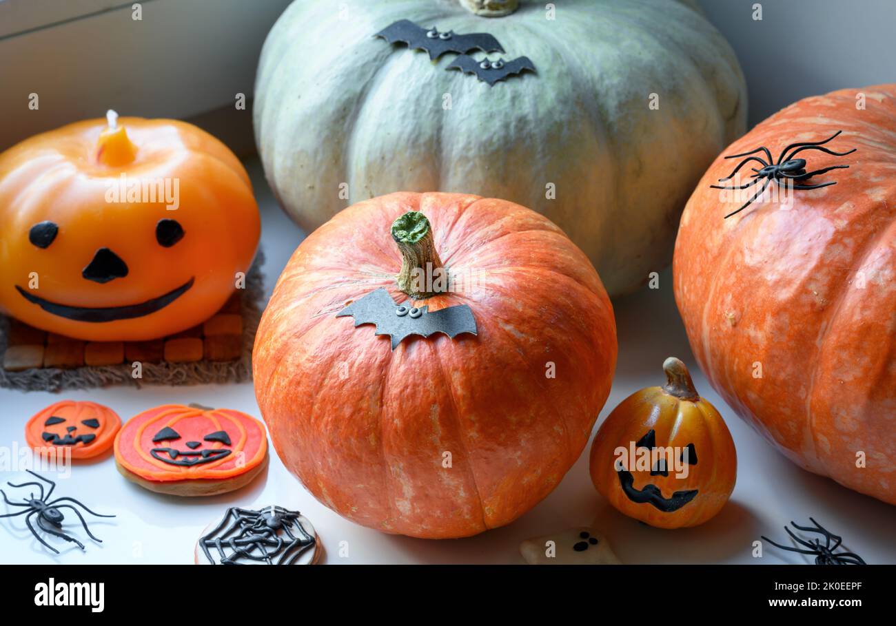 Halloween Stillleben von Kürbissen, Dekorationen und Süßigkeiten durch Fenster im Haus. Gemüse auf weißem Fensterbrett auf Hallowen gestellt. Konzept von Treat oder tr Stockfoto