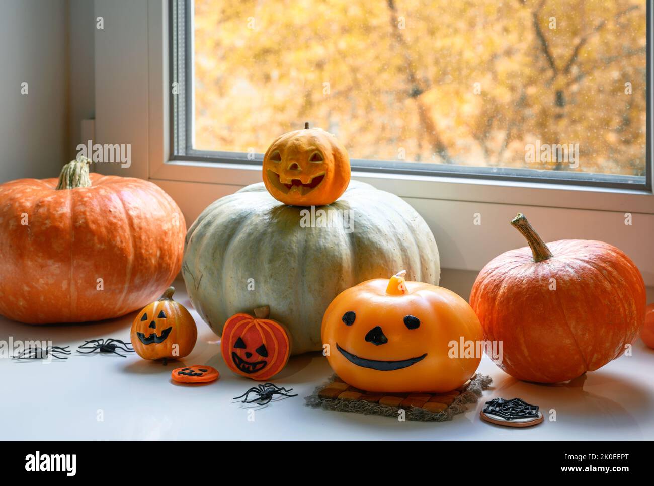 Halloween Kürbisse am Fenster zu Hause. Gemüseset, Orangenfutter, Süßigkeiten und Dekorationen auf weißem Fensterbrett auf Hallowen. Konzept Oktober, Herbst, H Stockfoto