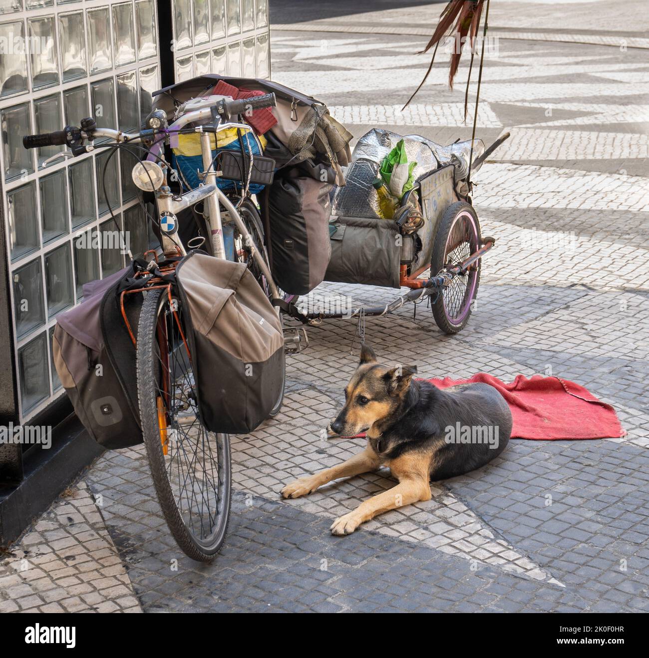 Obdachloser Hund wartet auf seinen obdachlosen Meister neben seinem Fahrrad mit Anhänger voller Objekte Stockfoto