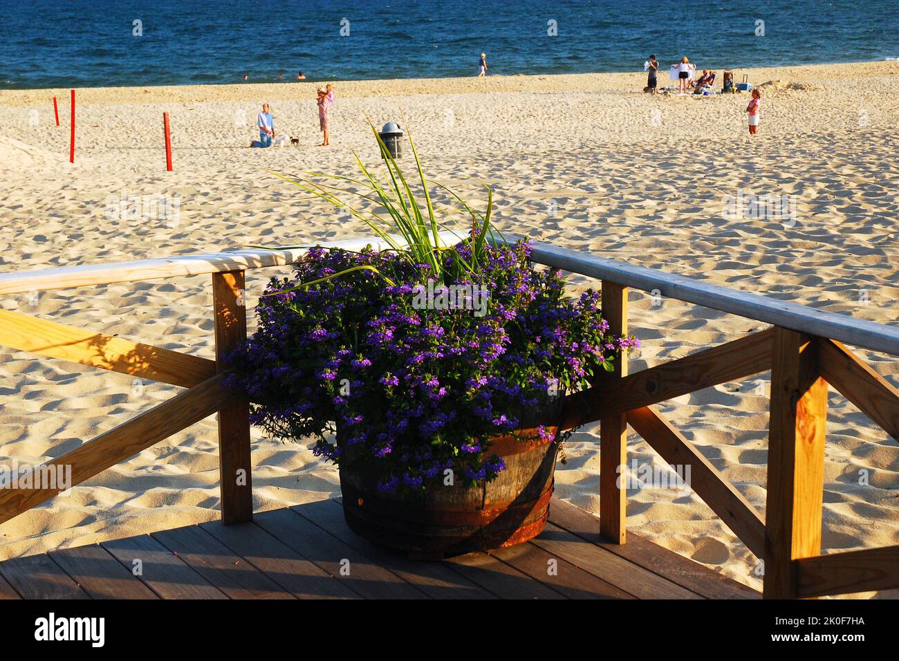 Eine Topfpflanze befindet sich in der Ecke einer Terrasse am Pavillon von Main Beach, in East Hampton, einem der Hamptons, Stockfoto