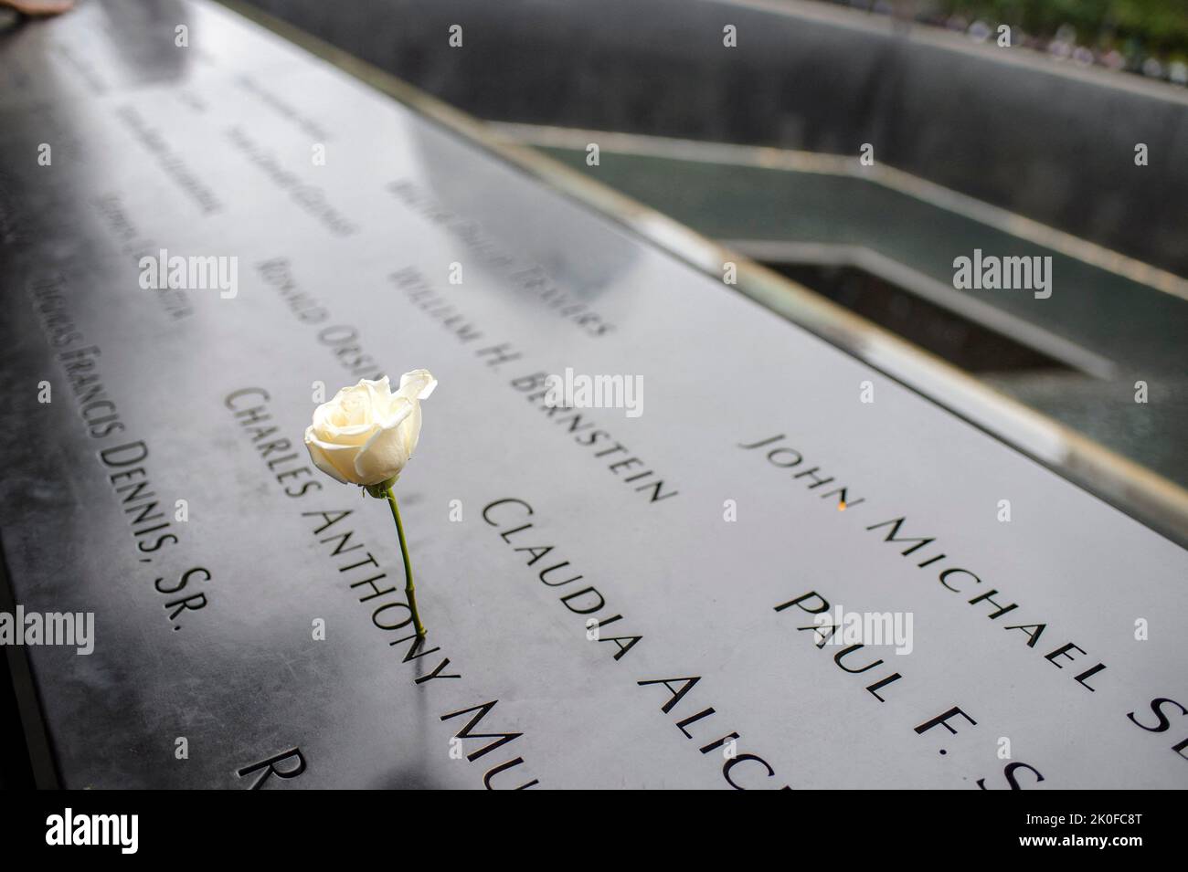 Eine Blume steht im Namen von Charles Anthony Murphy, der während der Angriffe auf das World Trade Center vom 11. September, am 21.. Jahrestag der Angriffe in New York City am Sonntag, dem 11. September 2022, im Nordturm starb. Foto von Bonnie Cash/Pool/ABACAPRESS.COM Stockfoto