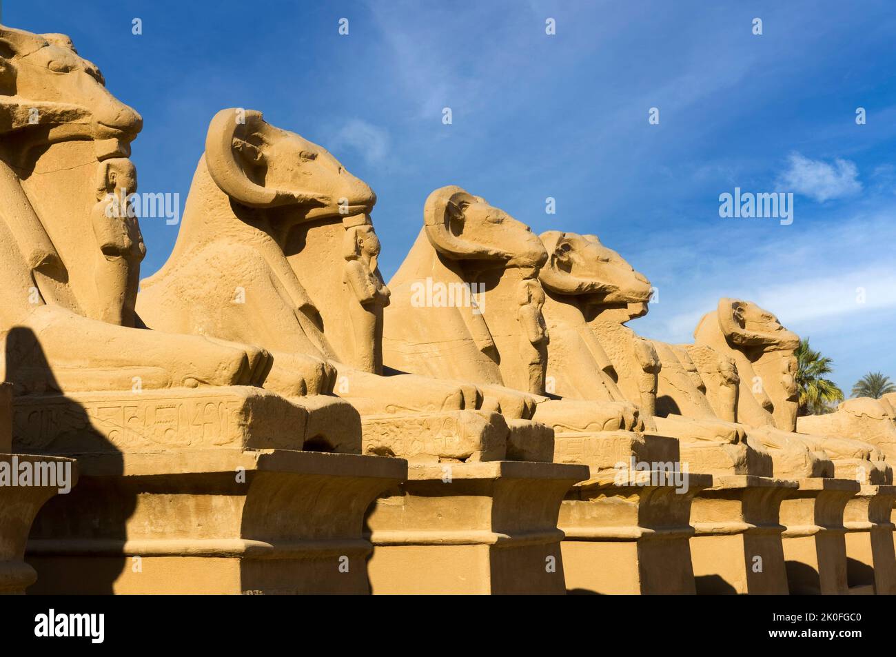 Allee der Cryosphinx zahlen, Karnak Temple Complex, UNESCO-Weltkulturerbe, Luxor, Ägypten Stockfoto