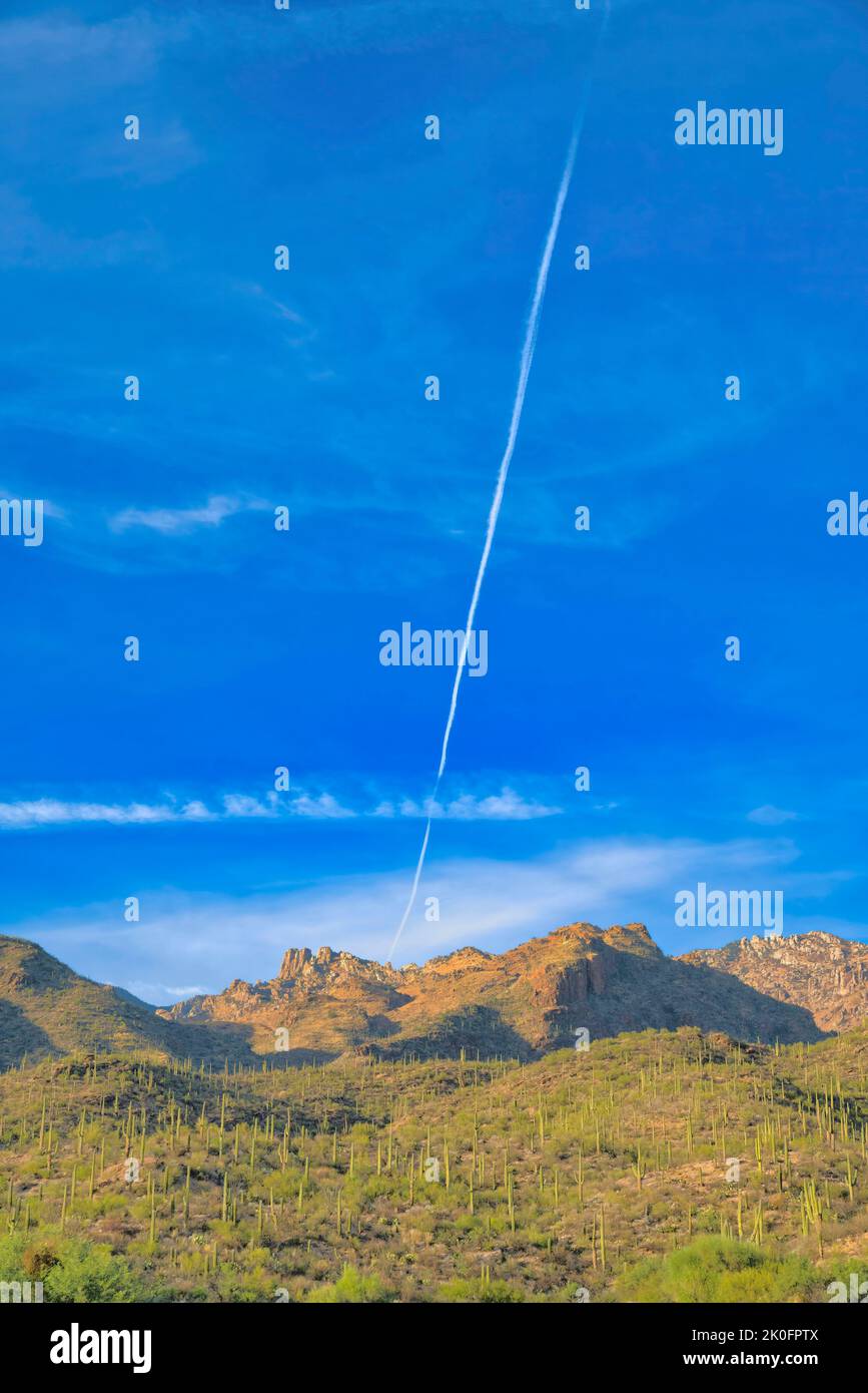 Schräg anstehender vertikaler Jettrail über den Bergen in Tucson, Arizona. Es gibt Hügel an der Vorderseite mit saguaro Kakteen gegen die Bergketten und s Stockfoto