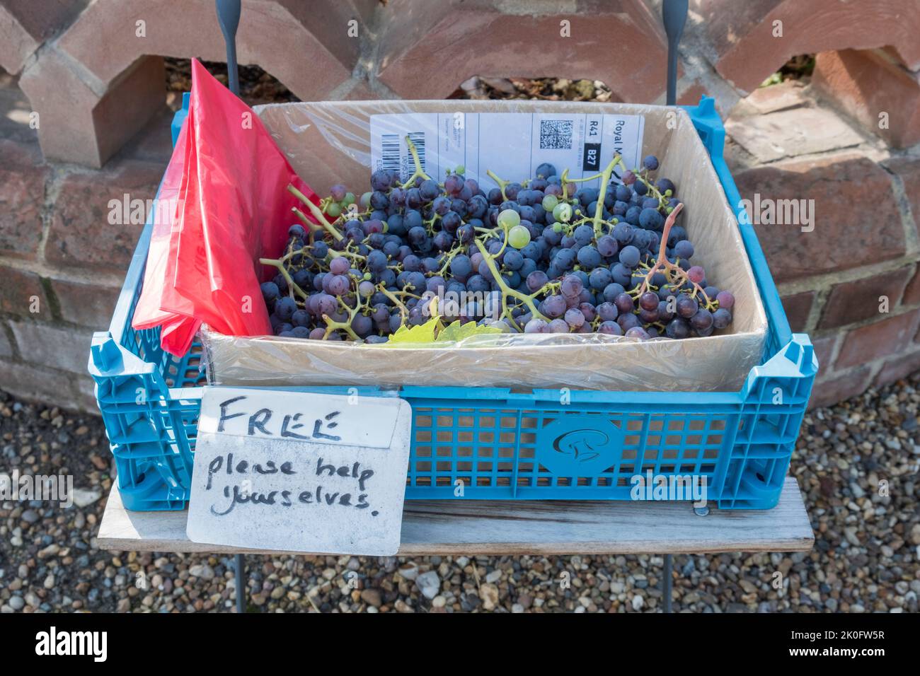 „Free, please helf yourself“-Box für Obst und Gemüse. Trauben. Suffolk, Großbritannien Stockfoto