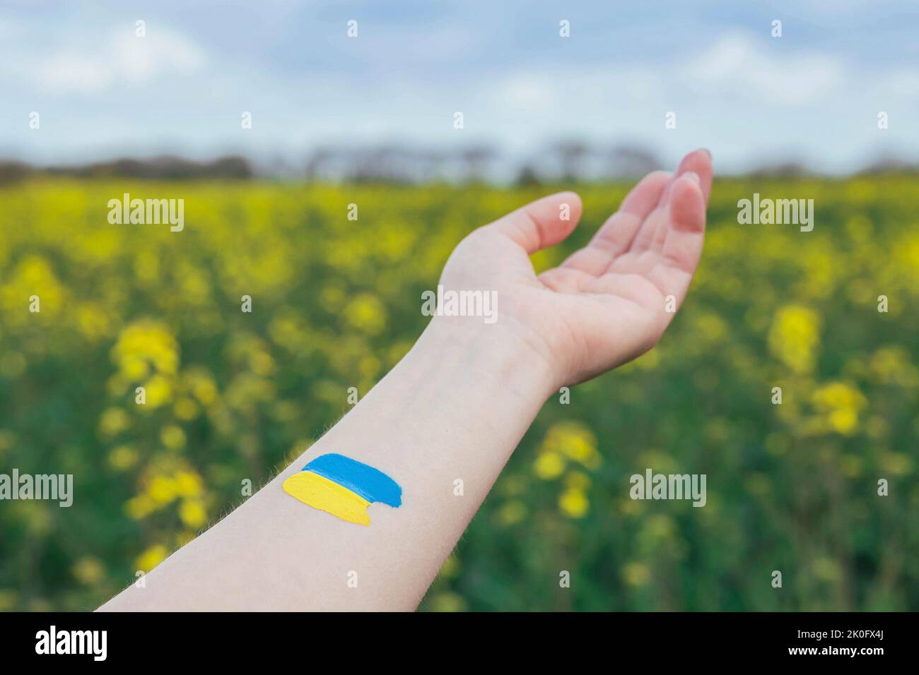 Frau mit ukrainischer Flagge auf einem Blumenfeld Stockfoto