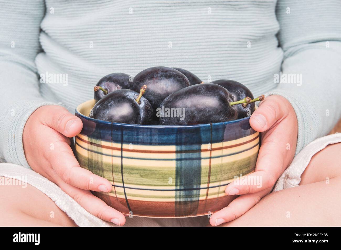 Das Kind hält Pflaumen in einer Keramikschale. Gepflückte Früchte aus dem eigenen Garten zur Erntezeit. Reife Früchte frisch und saftig. Detail der Jungen Hände. Stockfoto