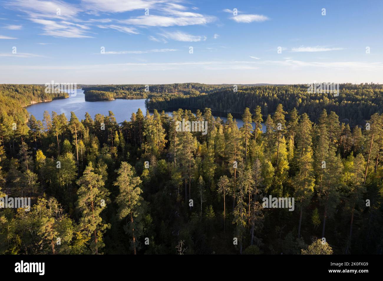 Naturlandschaft im Nuuksio Nationalpark in Finnland Stockfoto