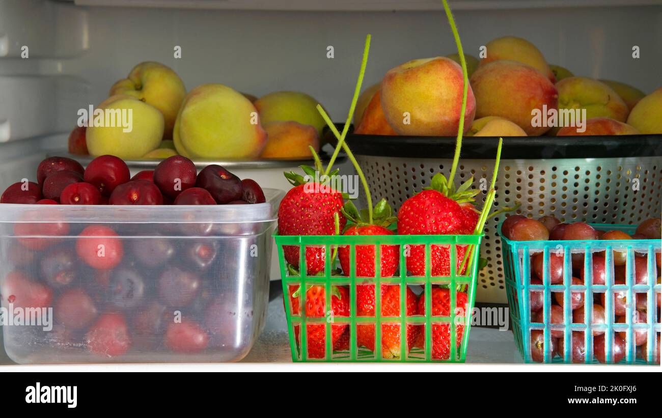 Heimisch Kühlschrank mit Behältern von frischen selbst angebauten Gartenfrüchten, Pfirsichen, Trauben, Kirschen, Erdbeeren. Gesunde Snacks. Stockfoto