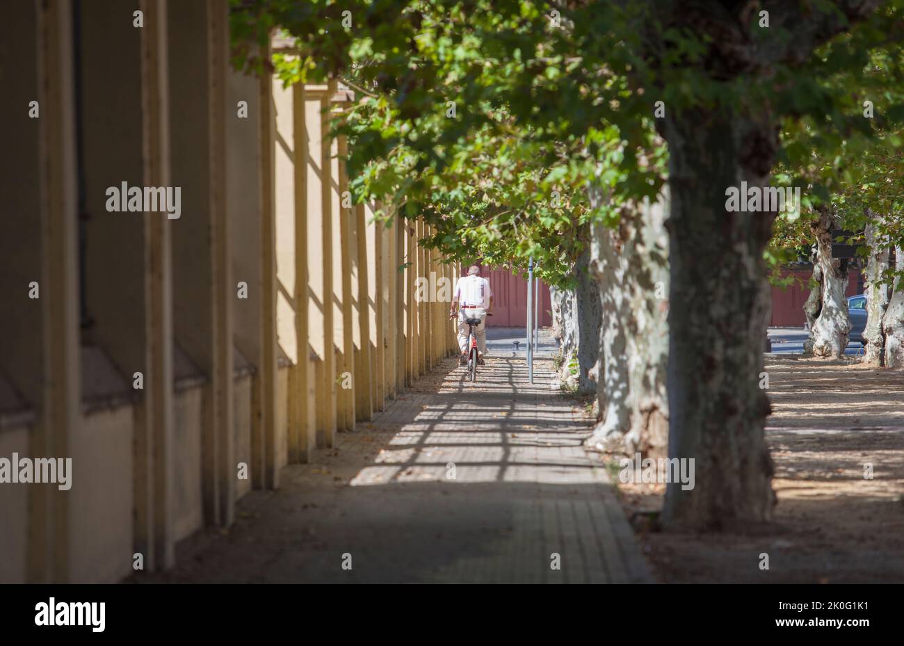 Senior Biker auf der Fahrt in der Innenstadt von Sevilla, Spanien. Milde Fahrradtouren durch die Stadt für ältere Menschen Stockfoto