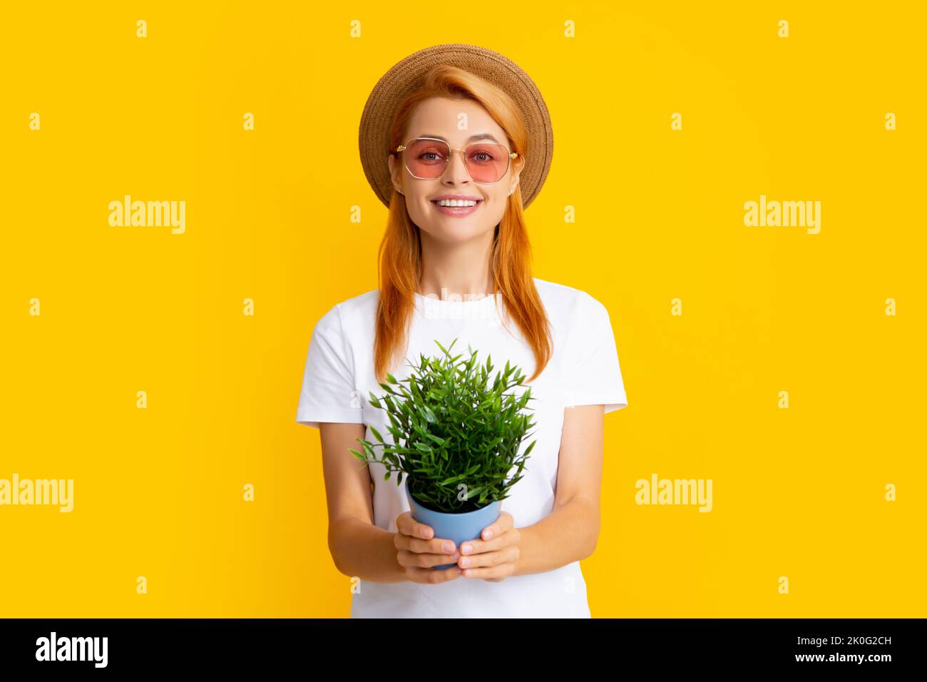 Frau Pflanzen Blumen in Topf isoliert auf gelben Studio-Hintergrund. Hübsches Modell arbeiten, Sommer Gartenarbeit Konzept. Stockfoto
