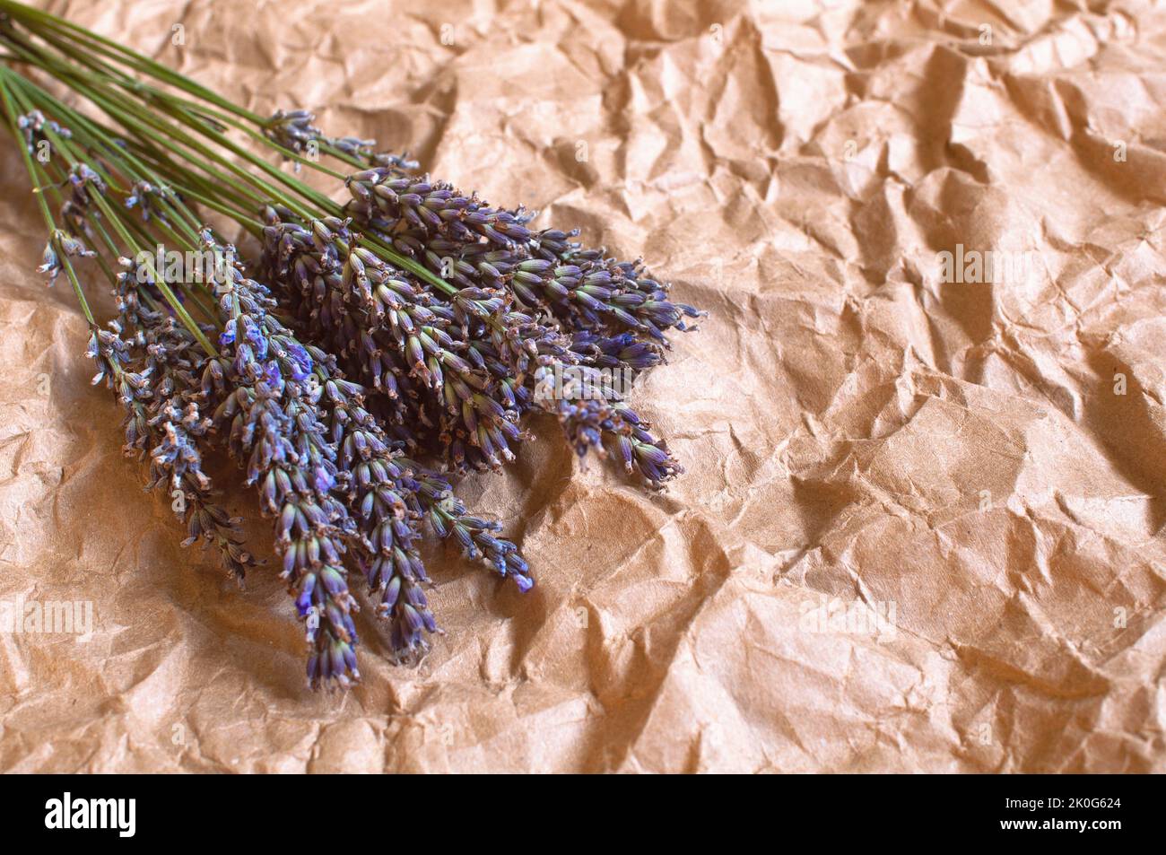 Bouquet von duftenden frischen Lavendelblüten auf Kraftpapier. Stockfoto