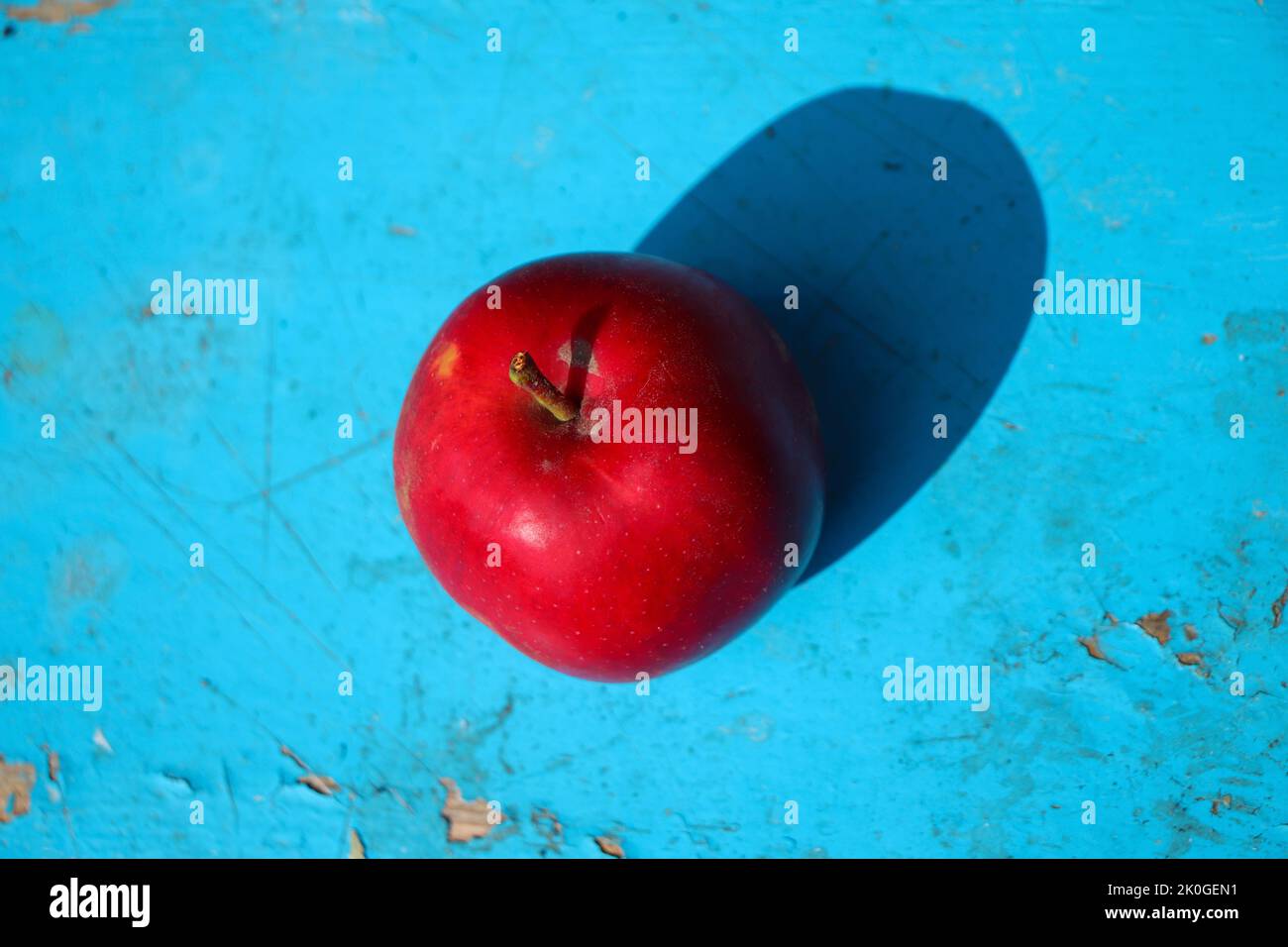 Defokussieren Sie roten Apfel auf blauem Hintergrund. Eine reife, saftige rote, frische Tomate. Bauerngemüse natürliche Öko Bio. Minimalismus trendigen Hintergrund. Draufsicht. Minima Stockfoto