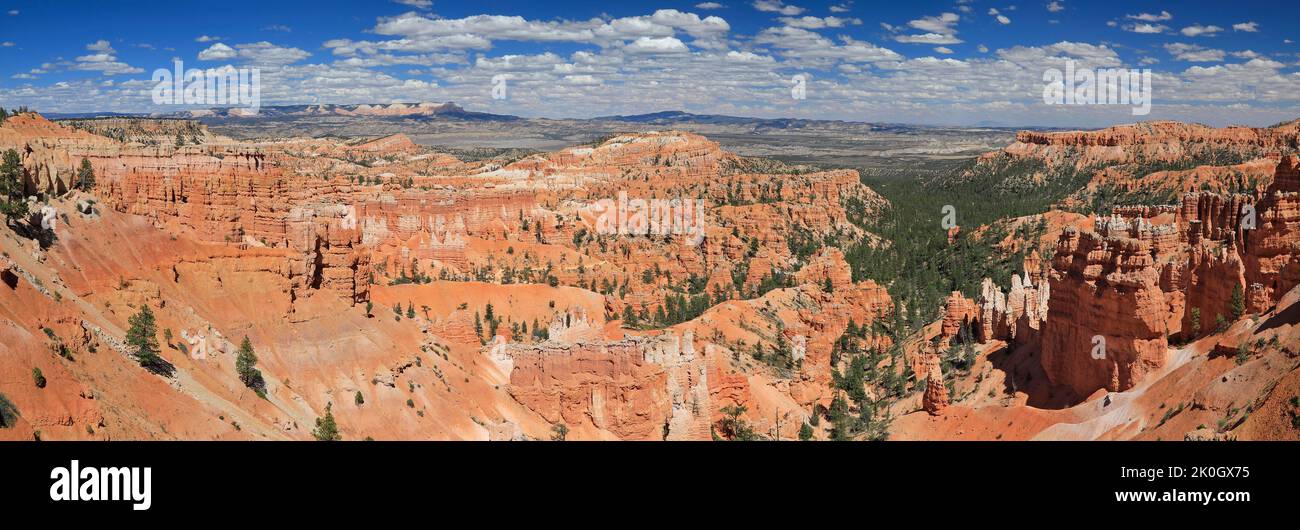 Luftpanorama des Bryce Canyon National Park, Utah, USA Stockfoto