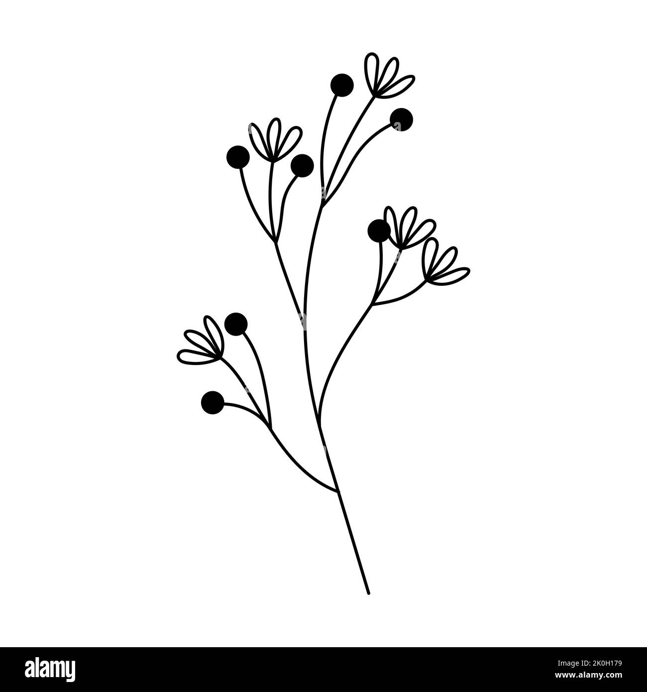 Illustration einer Blume, Silhouette eines Zweiges mit Blumen und Blättern. Vektorgrafik. Blumendruck Stock Vektor