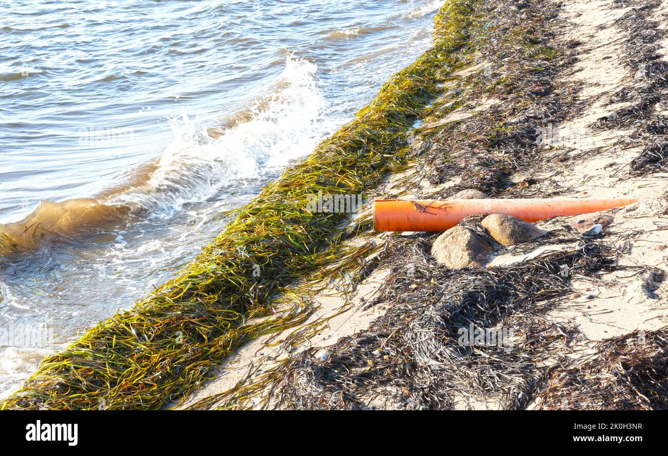 Orange Rohr mit Wasser ins Meer gegossen, Strand Verschmutzung - Tourismusindustrie Auswirkungen auf die natürliche Küste Stockfoto