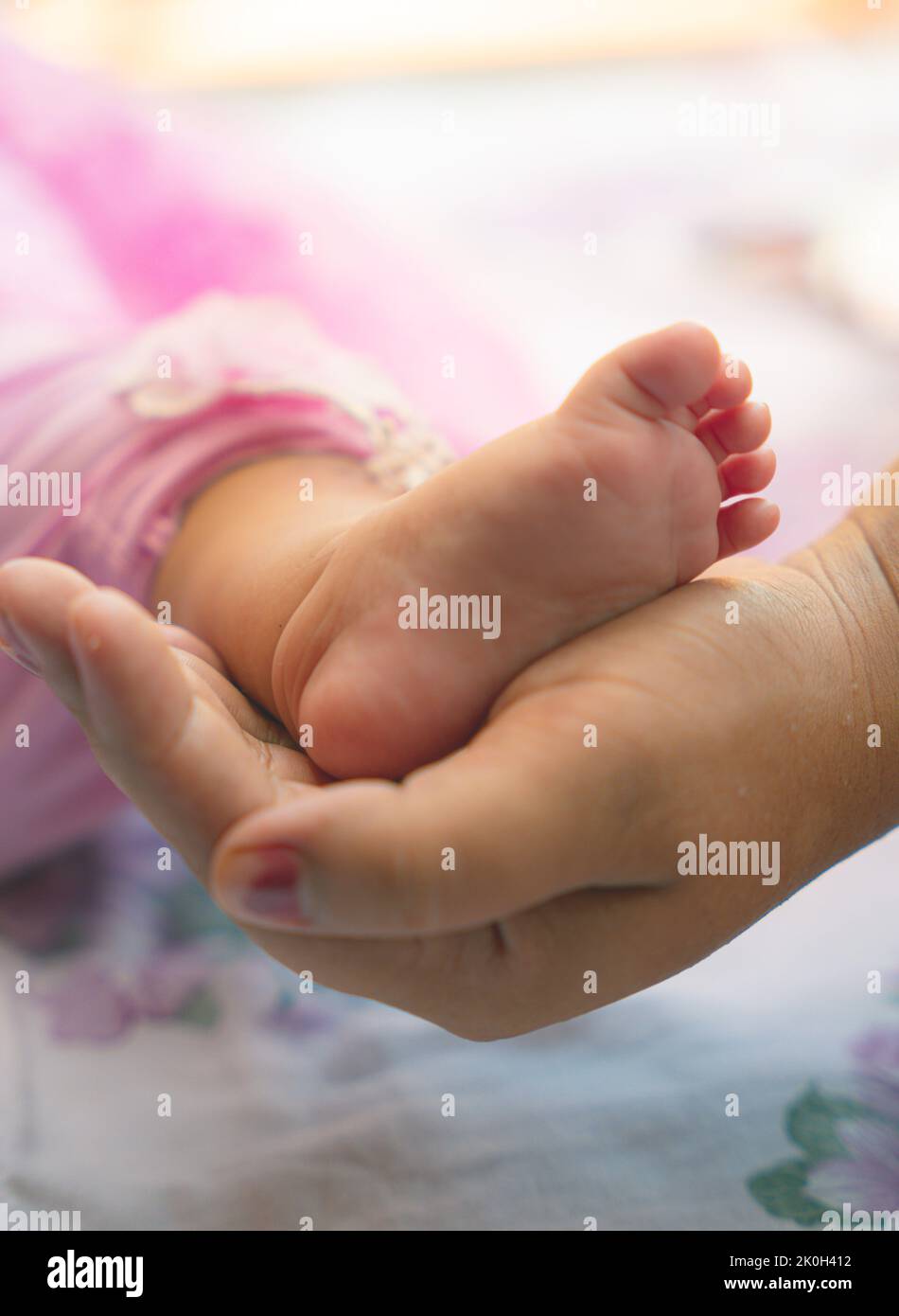 3 Monate altes Baby, das die Hände hält Stockfoto