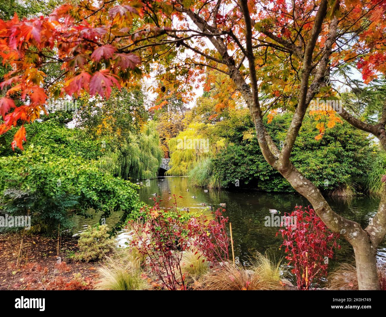 Eine frische Landschaft eines farbenfrohen öffentlichen Parks mit einem kleinen Teich und Herbstbäumen Stockfoto