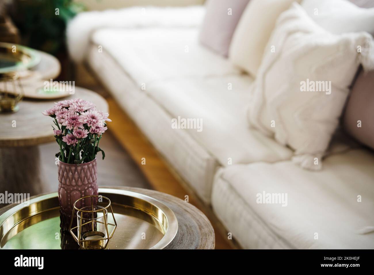 Blühende Chrysantheme Siam Tulpe Blume Dekoration in Vase im Wohnzimmer Stockfoto
