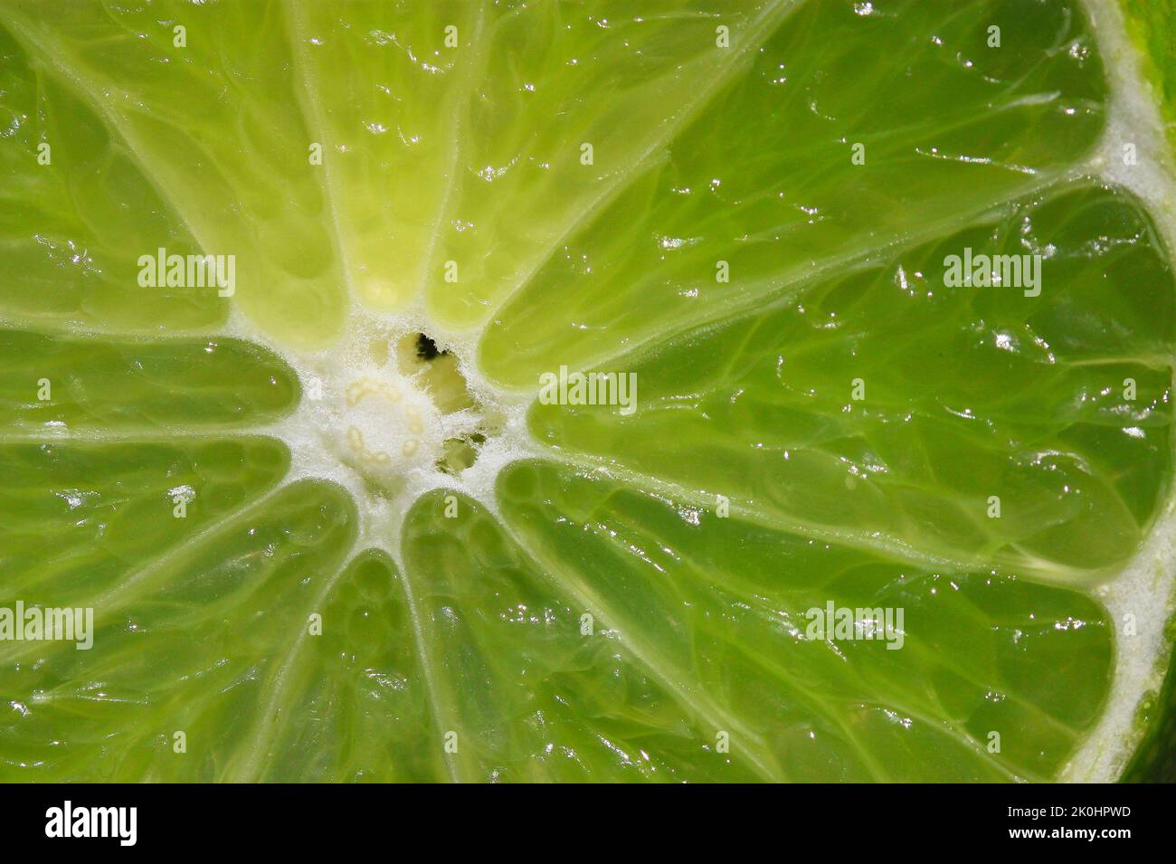 Eine Nahaufnahme einer frischen Limettenscheibe Stockfoto