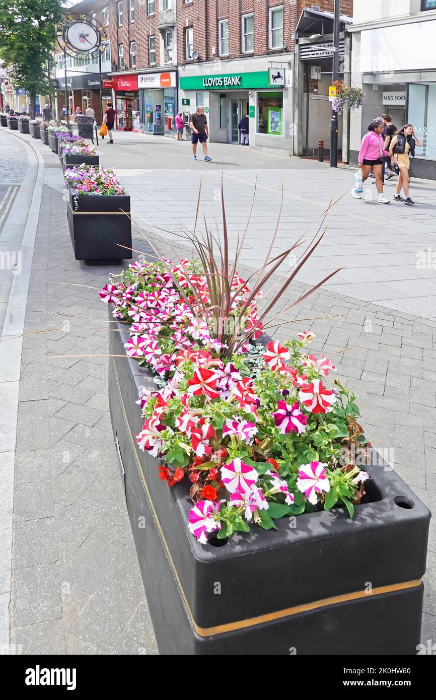 Farbenfrohe Sommerblumen in einer langen Reihe rechteckiger Pflanzkisten, die breite Pflaster und Käufer vor illegalen Parkplätzen schützen Brentwood Essex England UK Stockfoto