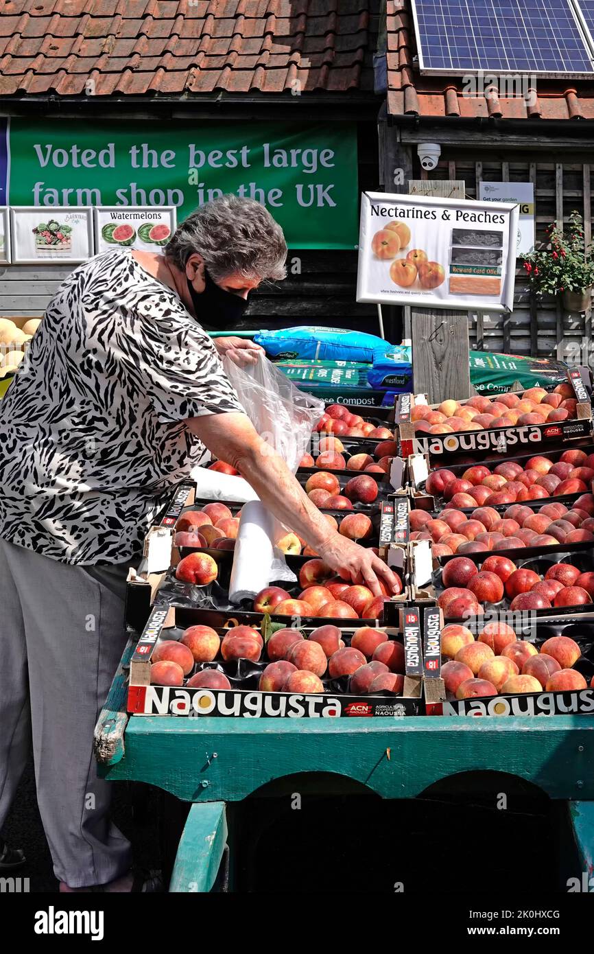 Ältere ältere Frau Shopper Covid 19 Maske Kauf von Lebensmittelgeschäft Barrow Nektarinen & Pfirsiche Obst in Kartons Bauernhof Shop Eingang Essex England Großbritannien Stockfoto