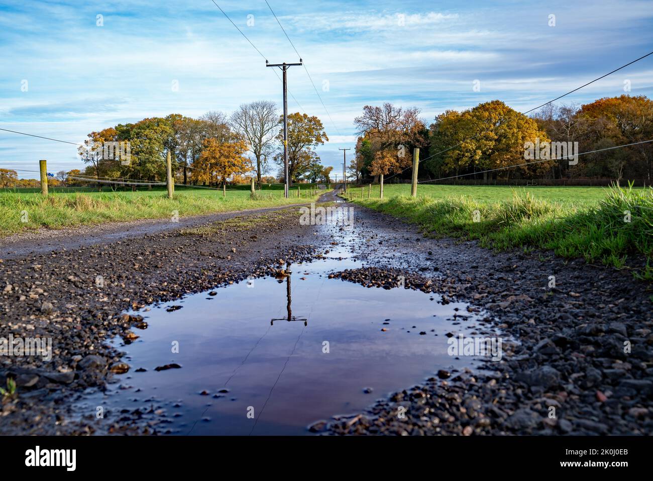 Reflexionen in einer Pfütze auf einer Landstraße. Perspektivische Szene, die zu einem Waldgebiet am Horizont führt. Blauer Himmel mit weißen Wolken. Stockfoto