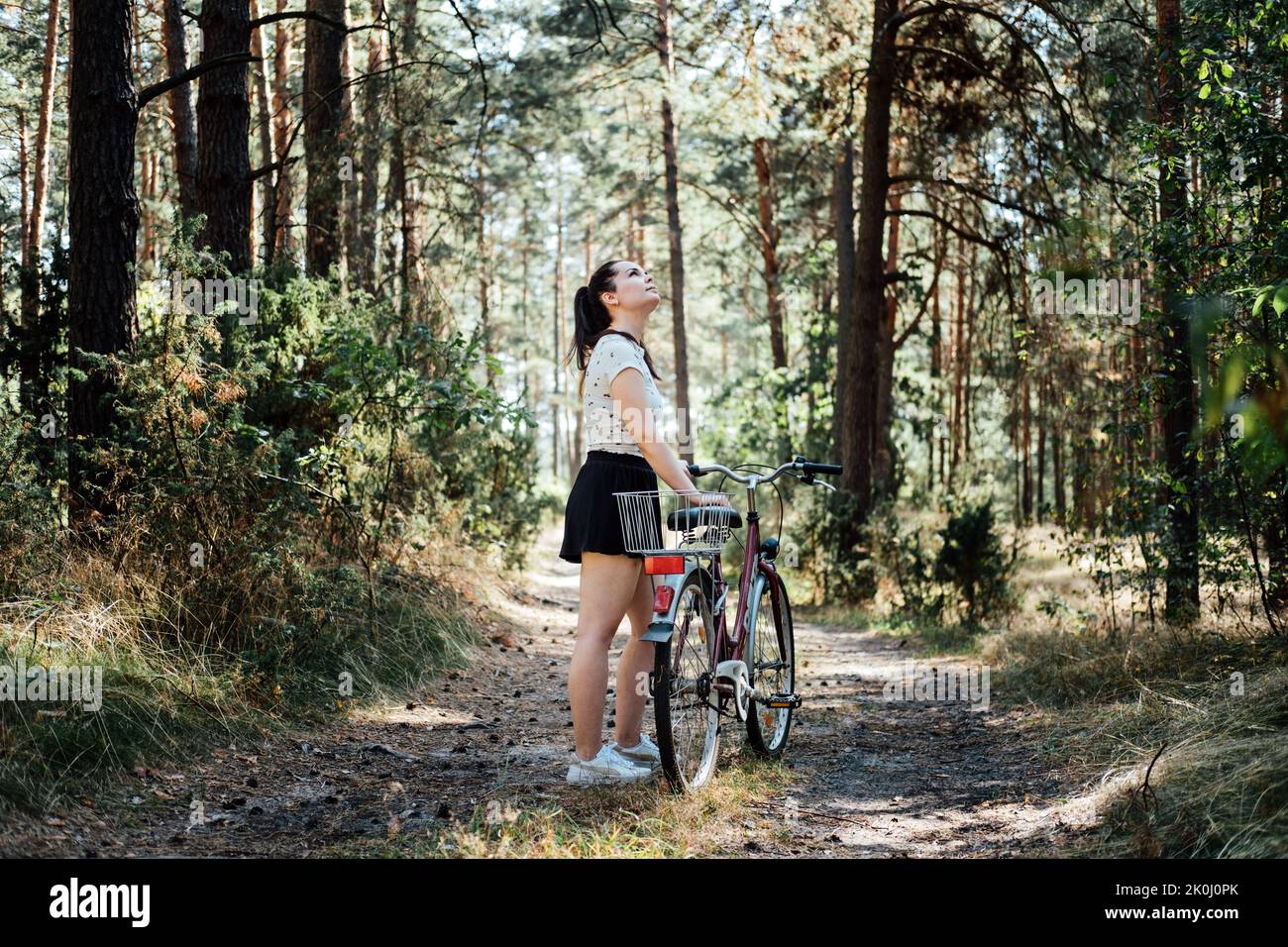 Fahrradtourismus. Road Biking Trails. Fahrräder können gemietet werden. Alleinerziehende Frau, die an sonnigen Tagen Fahrrad im Kiefernwald reitet Stockfoto