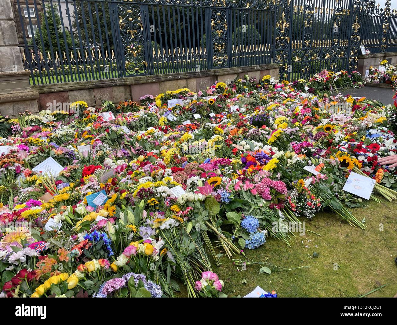 Blumengebete im Hillsborough Castle, Co Down nach dem Tod von Königin Elizabeth II. Am Donnerstag. Bilddatum: Montag, 12. September 2022. Stockfoto