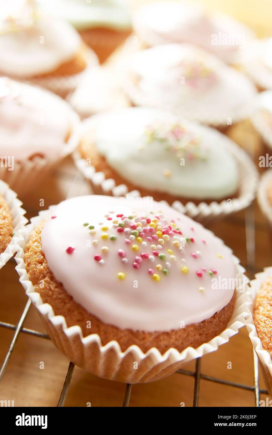 Verschiedene Cupcakes auf einem Kühltablett Stockfoto