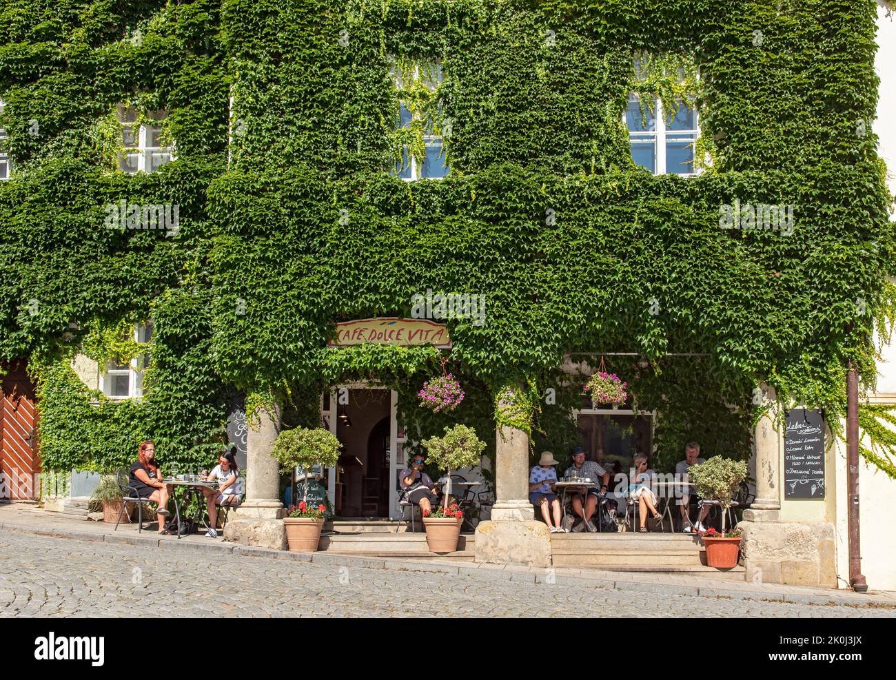 Café Dolce Vita mit grüner Efeu-Wand, Mikulov, Tschechische Republik Stockfoto