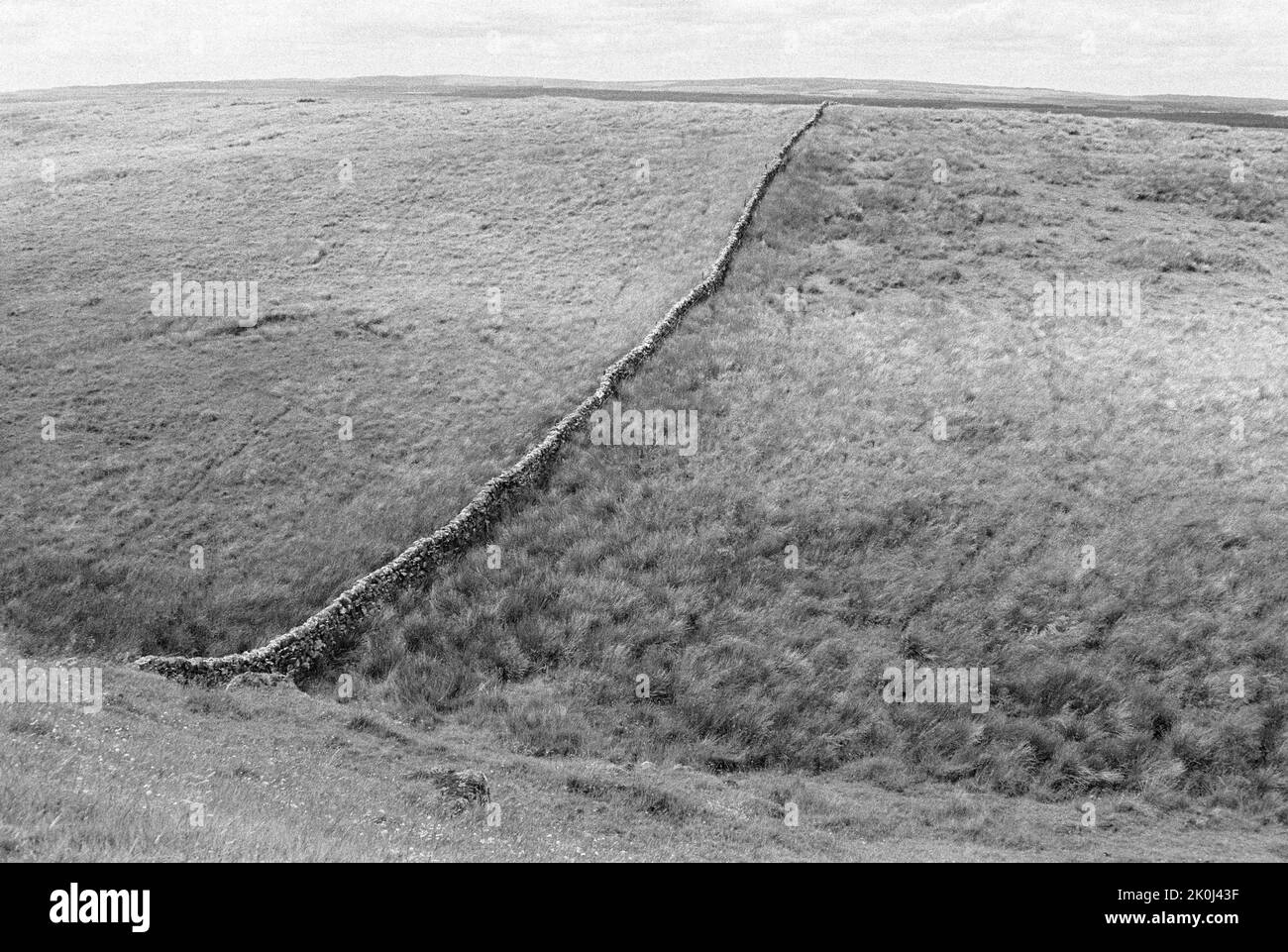Eine Trockensteinmauer, die sich über ein Feld in Northumberland, Nordengland, in der Nähe der Hadrianmauer erstreckt. Gedreht auf 35mm Schwarzweißfilmen. Stockfoto
