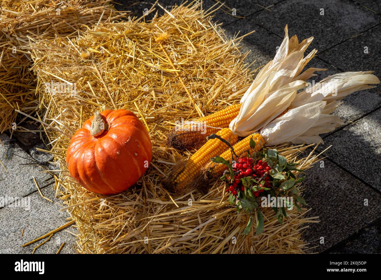 Herbstliche Dekoration auf einem Strohballen Stockfoto