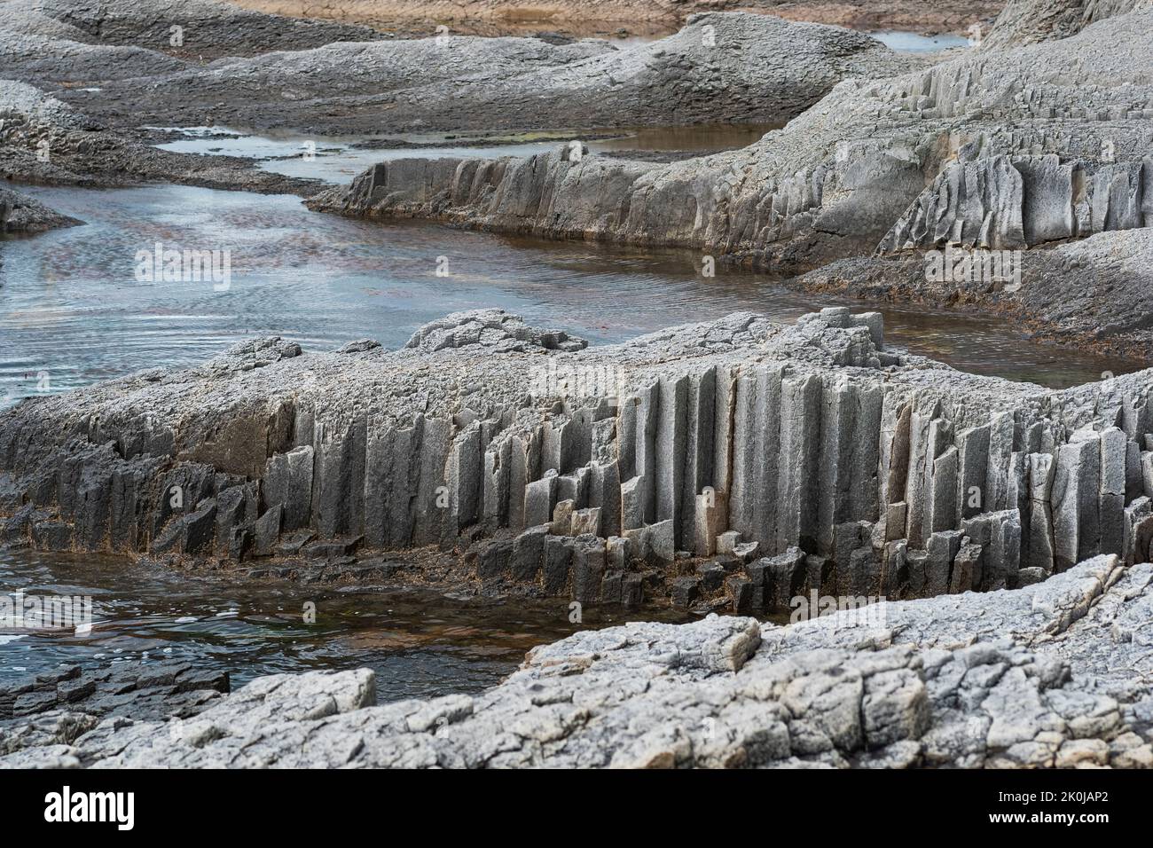 Küstenlandschaft mit wunderschönen säulenförmigen Basaltklippen bei Ebbe Stockfoto