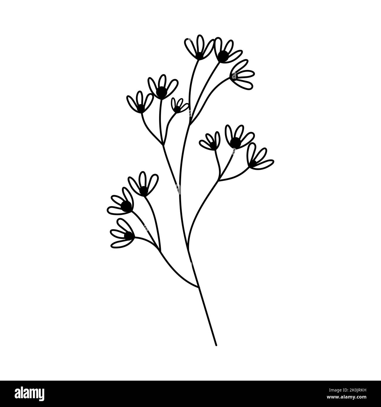Illustration einer Blume, Silhouette eines Zweiges mit Blumen und Blättern. Vektorgrafik. Blumendruck Stock Vektor