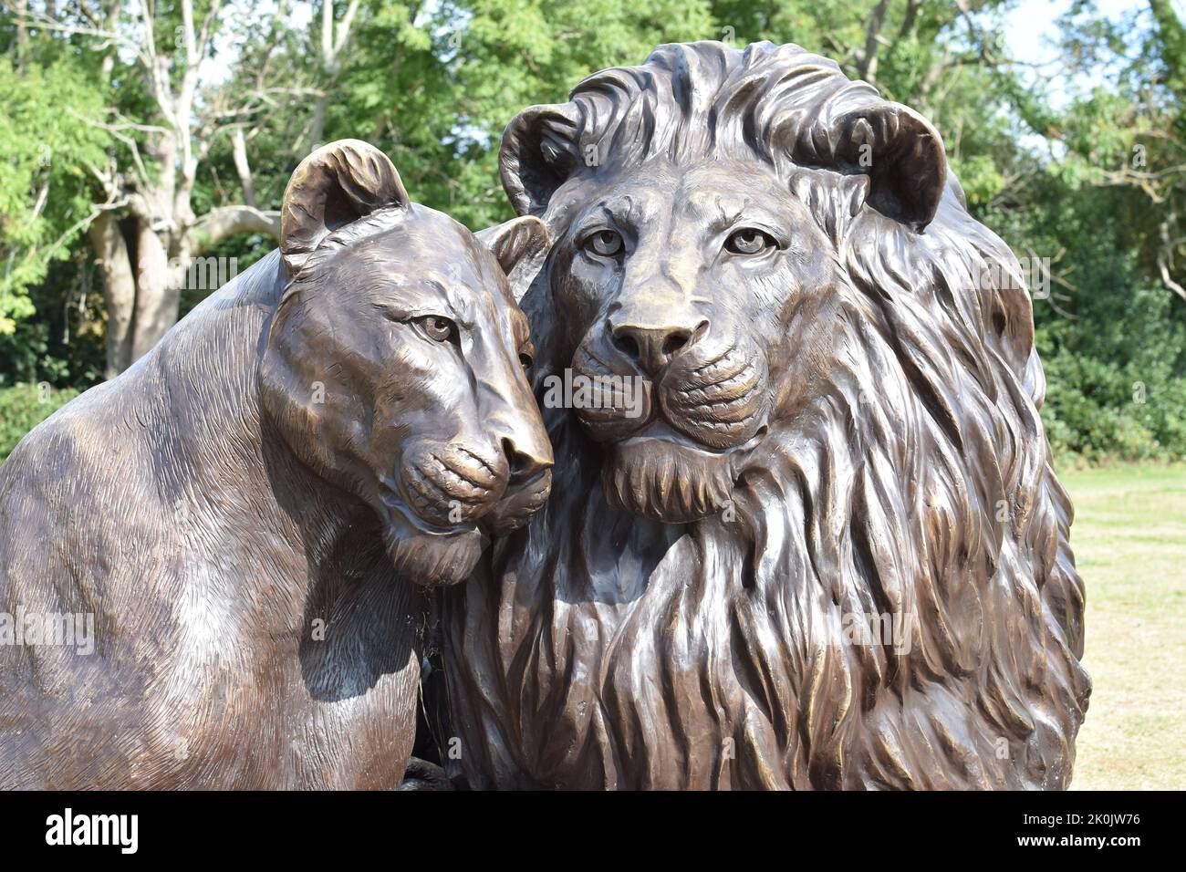 Born Free Forever Bronze Lion Sculptures at the Downs in Bristol Stockfoto