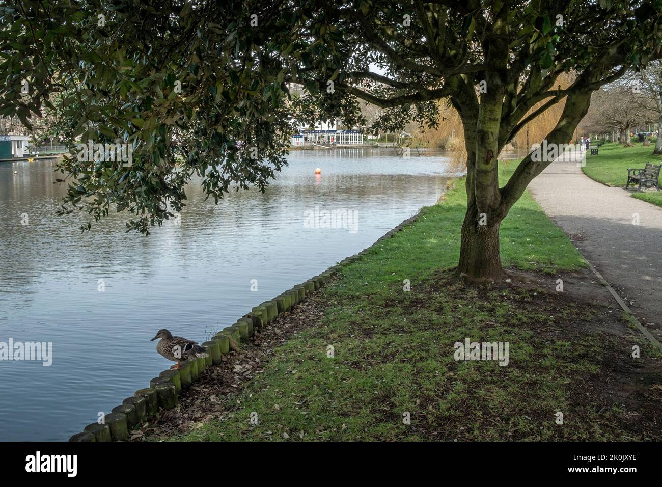 Trenance Boating Lake in Newquay in Cornwall in Großbritannien. Stockfoto