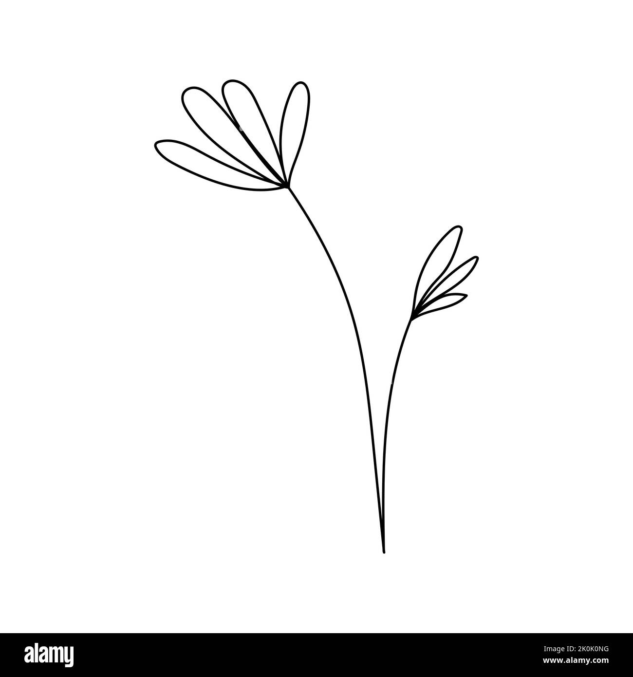 Illustration einer Blume, Silhouette eines Zweiges mit Blumen und Blättern. Vektorgrafik. Blumendruck Stock Vektor