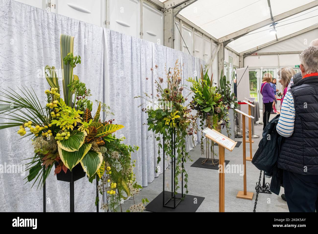 RHS Garden Wisley Flower Show September 2022, eine jährliche Gartenbauveranstaltung in Surrey, England, Großbritannien. Blumenarrangements im Festzelt mit Blumenkunst. Stockfoto