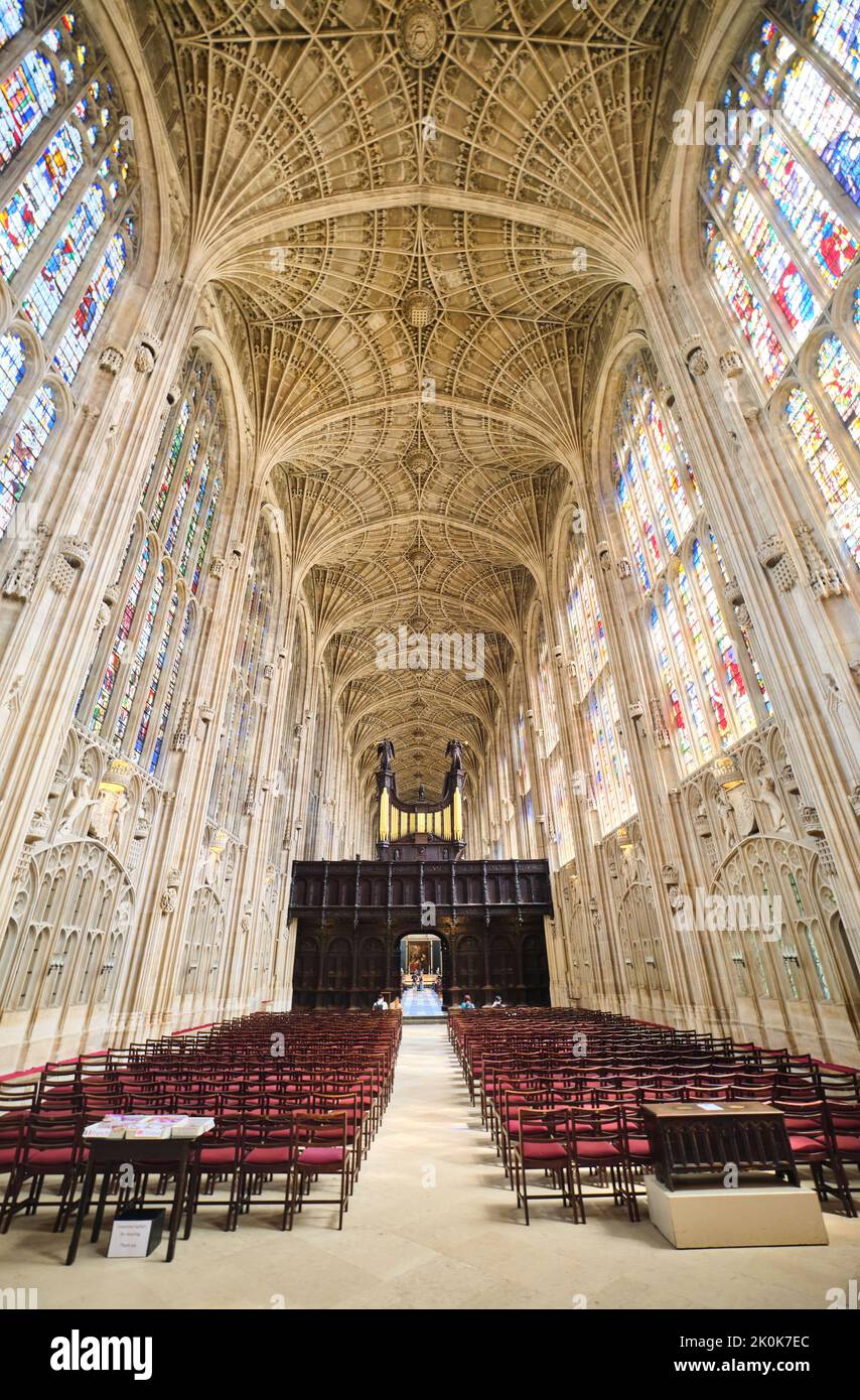 Die aufragende, komplizierte, gewebte Doppelfassgewölbe aus Stein geschnitzte Korbdecke der King's Chapel. An der King's College in Cambridge, England, Vereinigtes Königreich Stockfoto