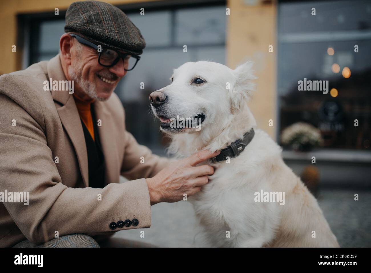 Glücklicher älterer Mann, der seinen Hund während eines Spaziergangs im Freien in der Stadt mit Halsband gab. Stockfoto