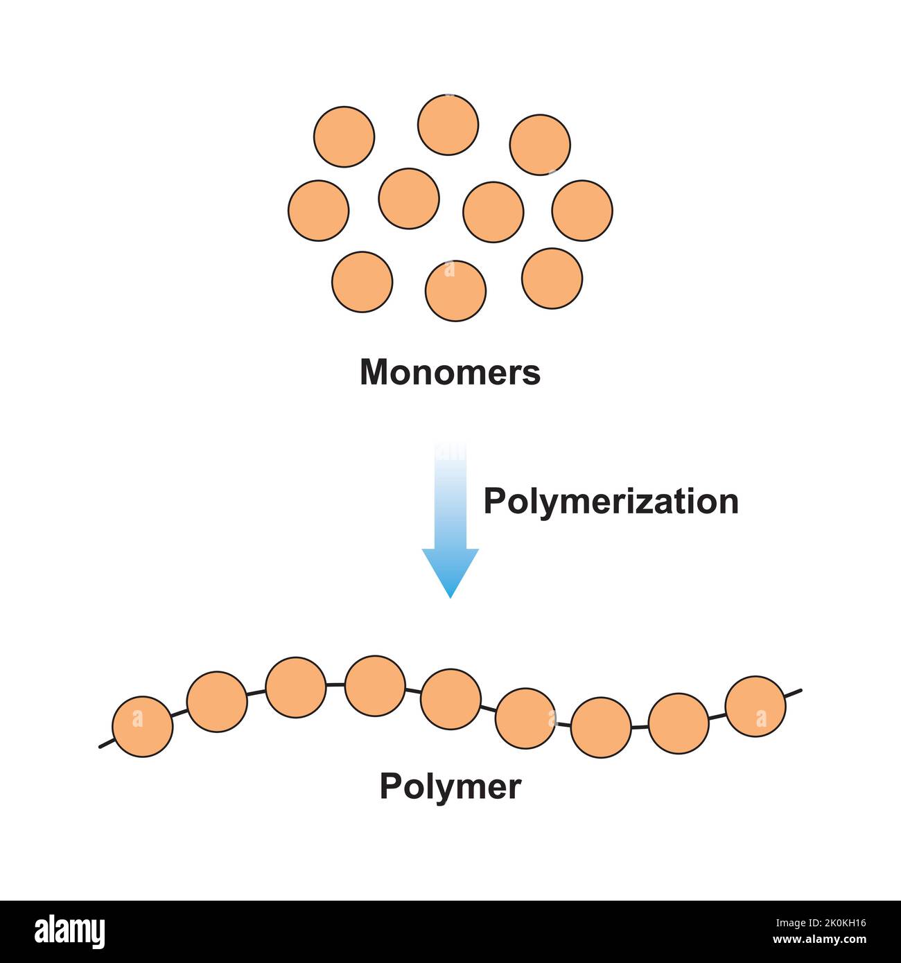 Wissenschaftliche Gestaltung der Polymerisierungsreaktion. Umwandlung von Monomeren in Polymer. Bunte Symbole. Vektorgrafik. Stock Vektor