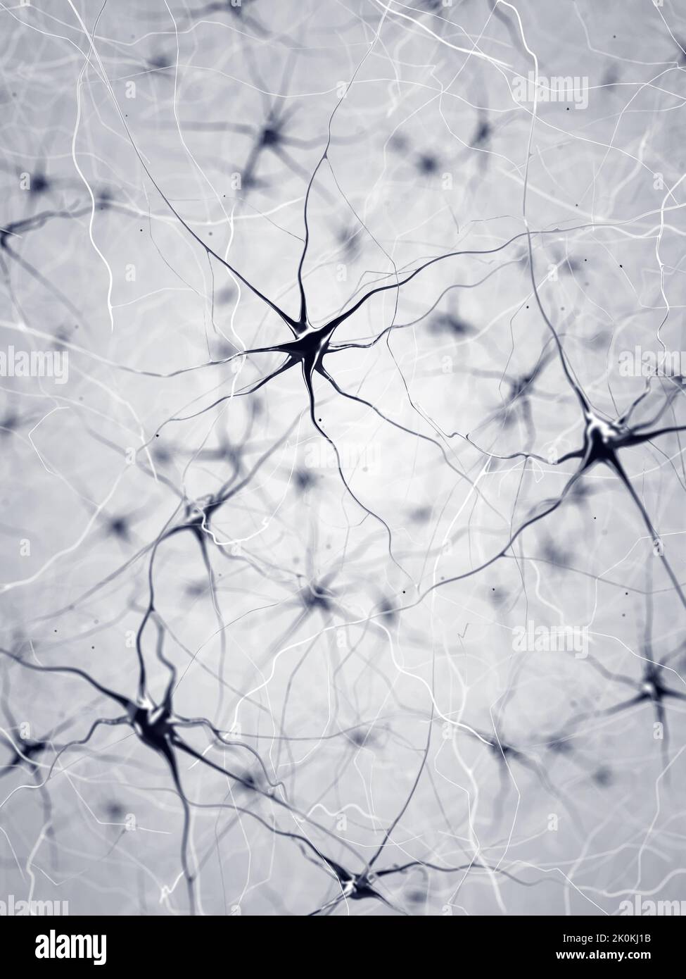 Neuronen auch als Neuronen oder Nervenzellen bekannt. Die Neuronen übertragen Informationen zwischen verschiedenen Teilen des Gehirns Stockfoto