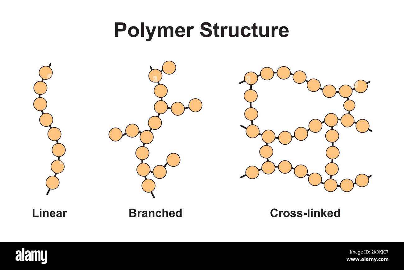 Wissenschaftliches Design der Klassifizierung von Polymerstrukturen. Polymer und seine Typen. Bunte Symbole. Vektorgrafik. Stock Vektor