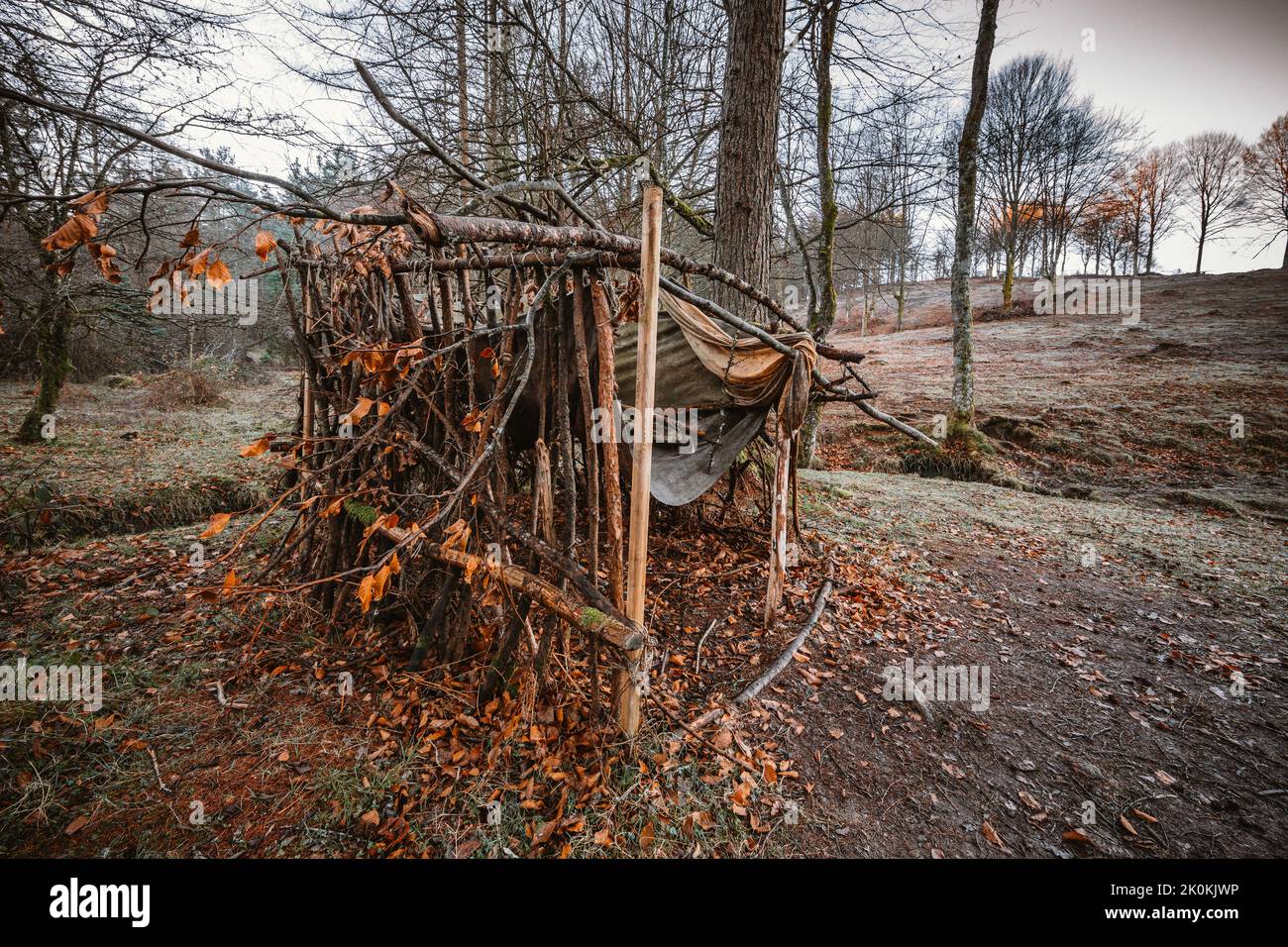 Verlassene Hütte mitten im Wald Stockfoto