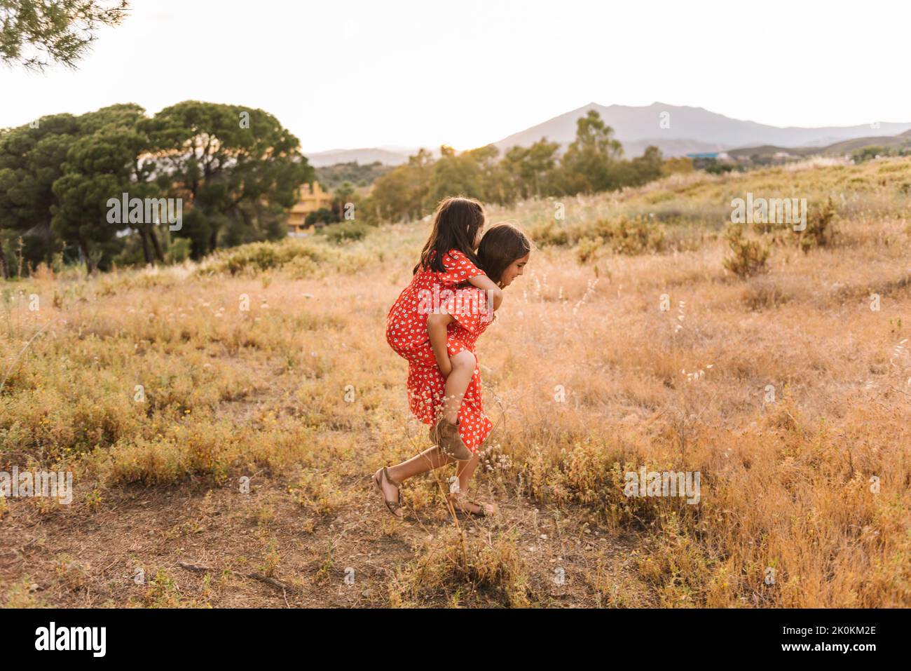 Seitenansicht liebenswert Mädchen geben Huckepack Fahrt zu kleinen Schwester zu Fuß in goldenem Feld im Sommer Tag Stockfoto