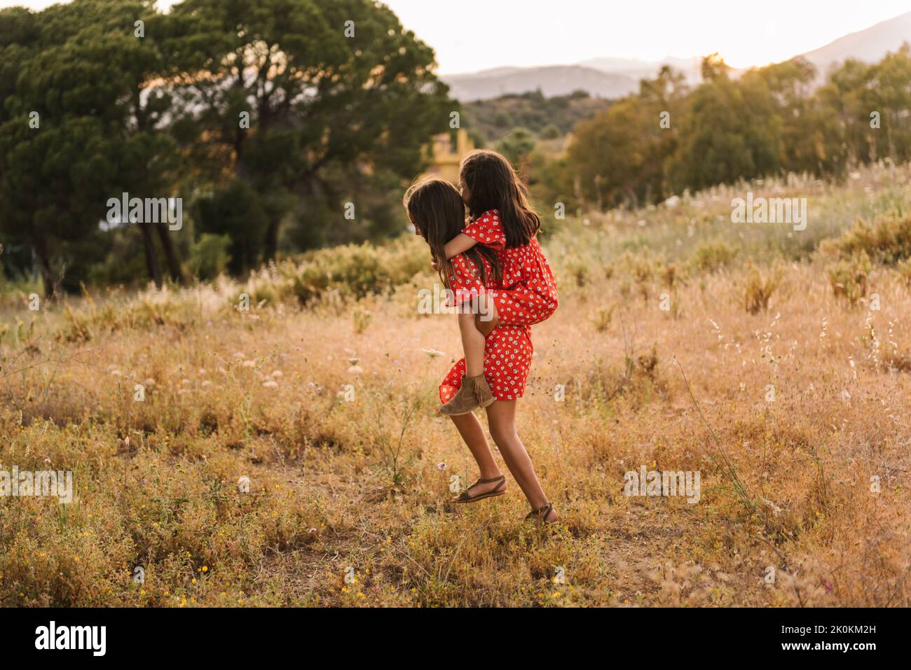 Seitenansicht auf unkenntlich kleines Mädchen geben Huckepack Fahrt zu kleinen Schwester zu Fuß in goldenem Feld im Sommer Tag Stockfoto