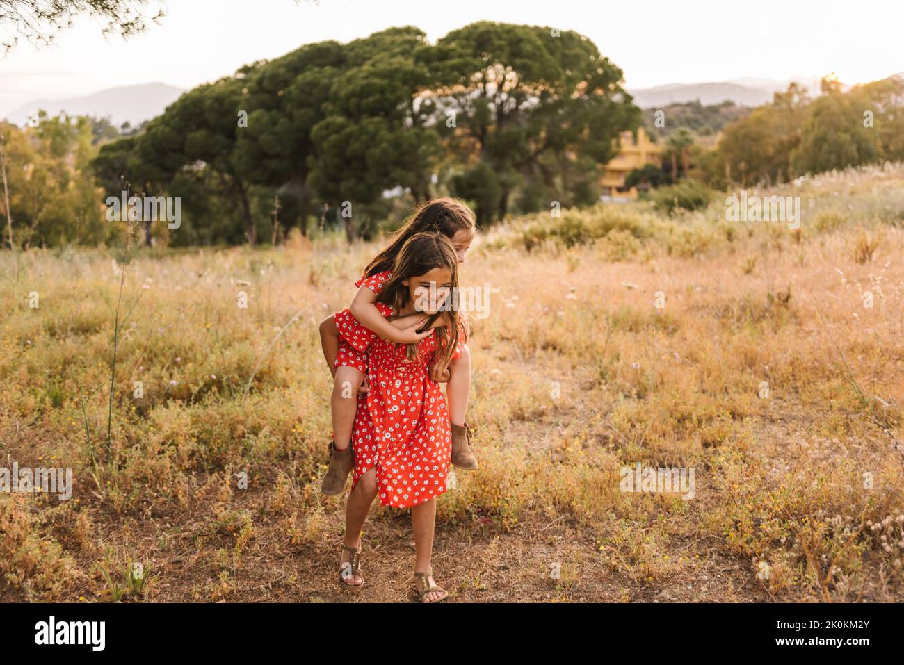 Liebenswert Mädchen geben Huckepack Fahrt zu kleinen Schwester zu Fuß in goldenem Feld im Sommer Tag Stockfoto